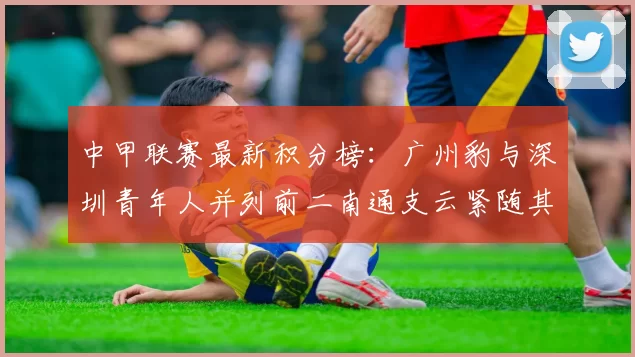 中甲联赛最新积分榜：广州豹与深圳青年人并列前二南通支云紧随其后